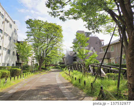 八幡堀遊歩道・江東区 八幡堀遊歩道・江東区 137532977