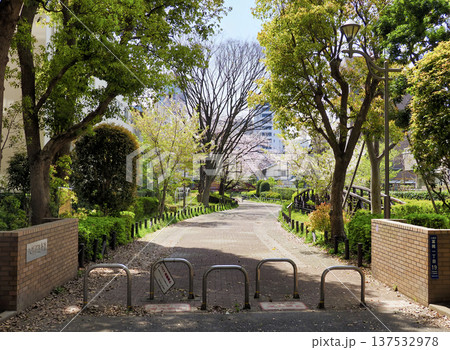 八幡堀遊歩道・江東区 137532978