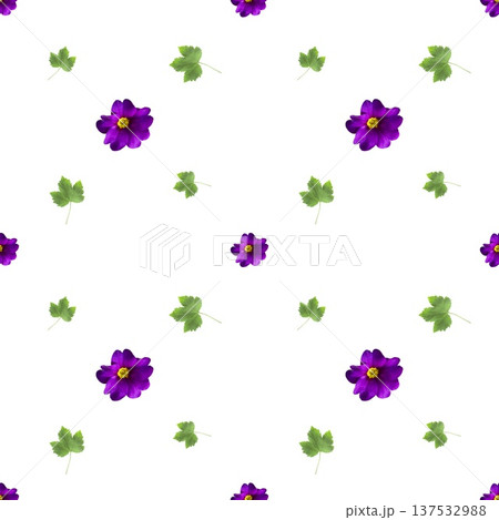 Seamless purple floral pattern with green leaves, spring decorative design Seamless purple floral pattern with green leaves, spring decorative design 137532988