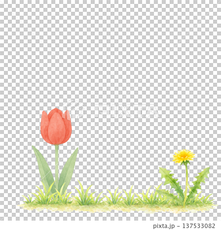 水彩插畫：鬱金香、蒲公英和青草，春季野花 137533082