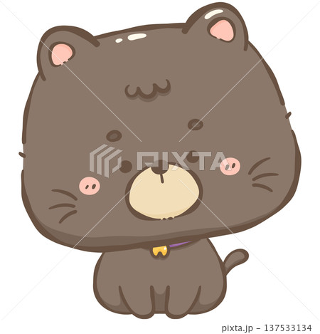 Little black cat 137533134
