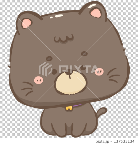 Little black cat 137533134