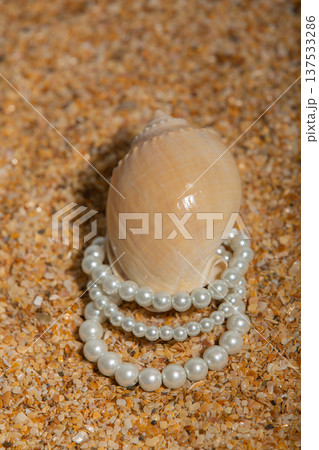 Luxury Pearl Necklaces On Beach. Sophisticated Pearl Necklaces Encircling Seashell On Sandy Shore 137533286