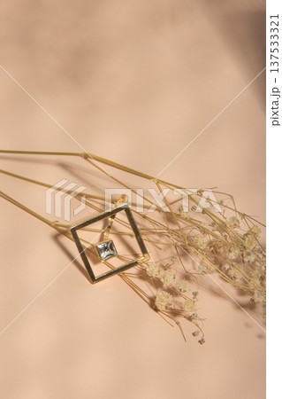 Sophisticated Boutique Imagery Showcasing Goldframed Gemstone Ring With Preserved Floral Accents 137533321