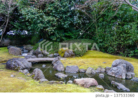 緑豊かな庭園 緑豊かな庭園 137533360