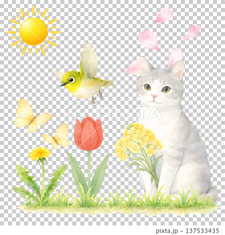 Watercolor illustration of a white cat, a bird, and spring flowers. Cute spring animal material. 137533435