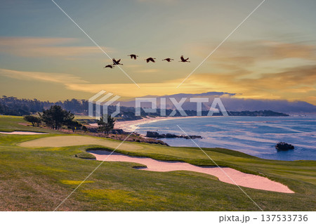 Pebble Beach golf course, Monterey, California, USA 137533736