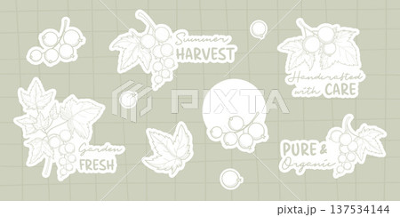 Organic Garden Fresh Sticker Pack. Sage Green Botanical Labels with White Currant. Isolated Elegant Decals Berry Branches, Leaves with Phrases. Vector illustration for Eco-Friendly Packaging 137534144