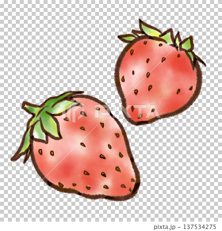 赤いイチゴのイラスト（墨ペン水彩風） 137534275