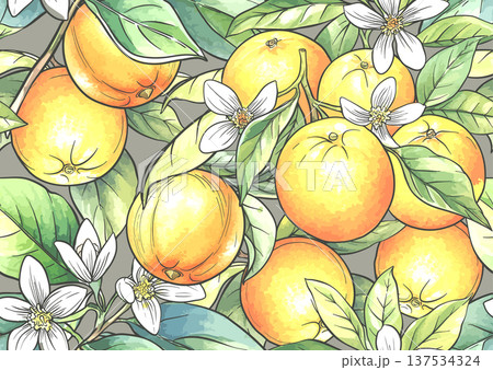 Oranges and citrus blossoms seamless botanical pattern 137534324