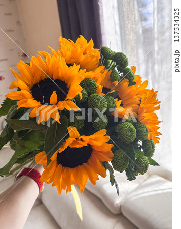 Sunflower bouquet with green button chrysanthemums Sunflower bouquet with green button chrysanthemums 137534325