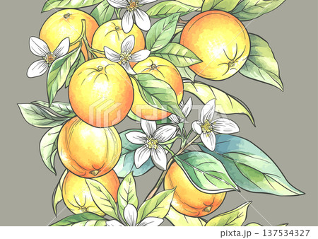 Oranges and citrus blossoms seamless botanical pattern Oranges and citrus blossoms seamless botanical pattern 137534327