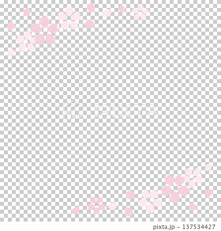 桜 桜 137534427