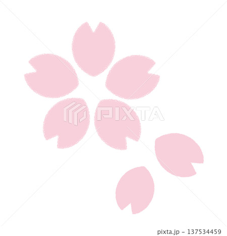 桜 137534459