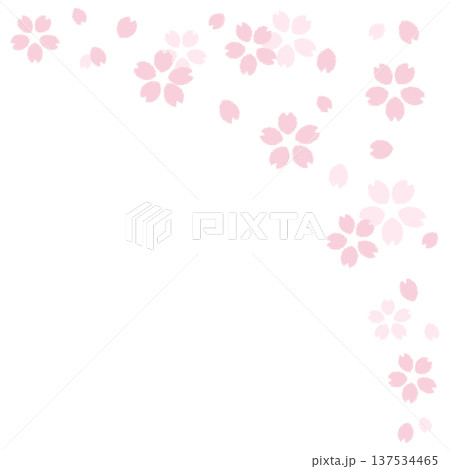 桜 桜 137534465