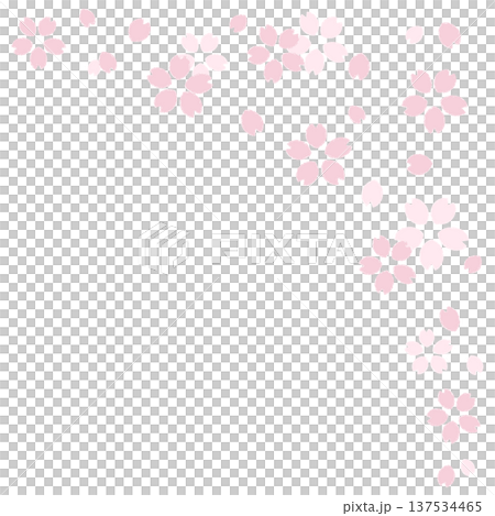 桜 桜 137534465