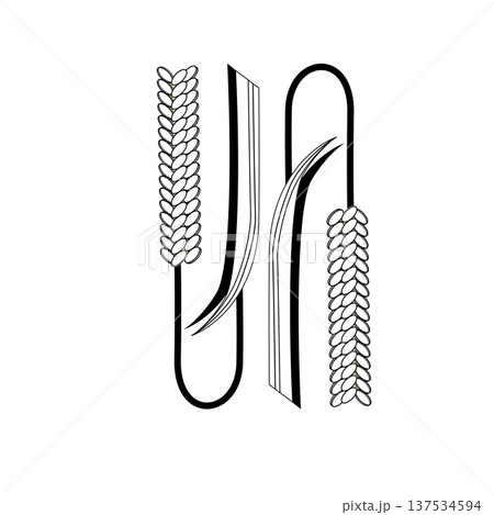 小麦の装飾アルファベットN ナチュラルな線画デザイン 137534594
