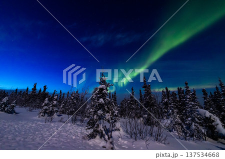 アラスカ フェアバンクスのオーロラ アラスカ フェアバンクスのオーロラ 137534668