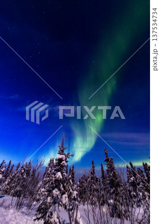 アラスカ　フェアバンクスのオーロラ 137534734