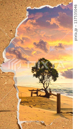 コルクボードに貼った敗れた写真 137535046