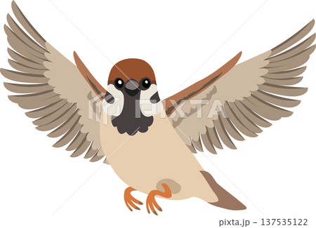 cute sparrow bird illustration showing a small brown bird flying in nature with open wings. 137535122