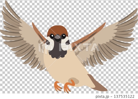 cute sparrow bird illustration showing a small brown bird flying in nature with open wings. 137535122