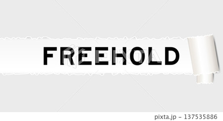 Ripped gray paper background that have word freehold under torn part 137535886