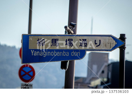京都の交通標識（柳馬場通り） 137536103