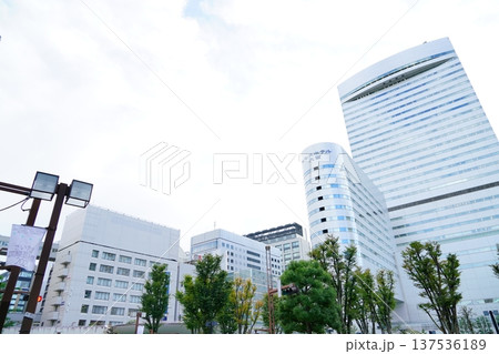 さいたま市の高層ビル 137536189