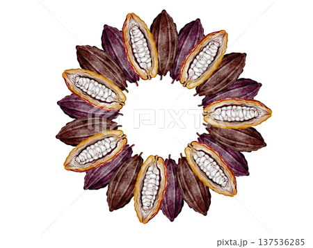 Cocoa beans and pods watercolor round frame. Superfood clip art. Hand-drawn watercolor illustration on a white background. For chocolate and cocoa product designs. 137536285