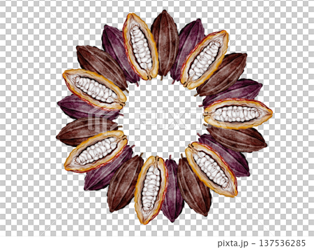 Cocoa beans and pods watercolor round frame. Superfood clip art. Hand-drawn watercolor illustration on a white background. For chocolate and cocoa product designs. 137536285
