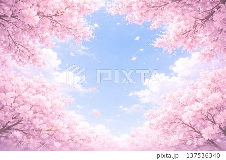 桜シリーズ：桜越しに見上げる春の青空構図 137536340