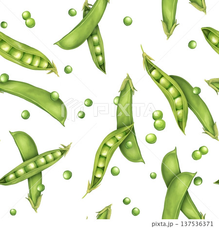 Seamless pattern with green pea pods and individual peas. Hand drawn illustration suitable for kitchen textiles, wrapping paper and organic food packaging. 137536371