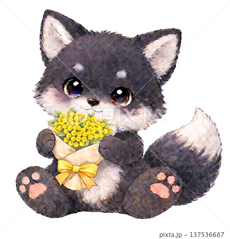 【国際女性デー】ミモザの花束を持った黒いキツネのイラスト 【国際女性デー】ミモザの花束を持った黒いキツネのイラスト 137536687