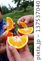Children Sharing Orange Slices Outdoors 137537040