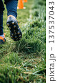 Soccer Cleat Stepping on Grass During Training 137537043