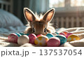 Rabbit Resting Among Colorful Easter Eggs 137537054