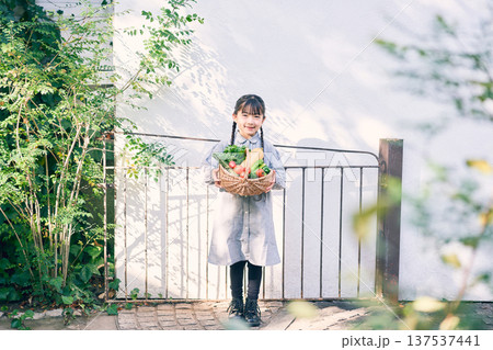 庭で野菜を持っている女の子 137537441