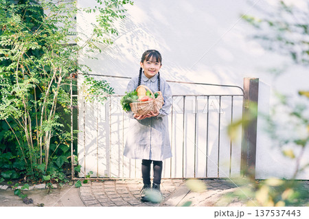 庭で野菜を持っている女の子 庭で野菜を持っている女の子 137537443