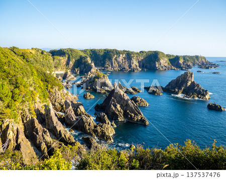 海金剛(和歌山県串本町) 海金剛(和歌山県串本町) 137537476