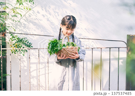 庭で野菜を持っている女の子 137537485