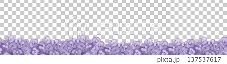 Violet border with purple flowers. Seamless floral pattern. Watercolour illustration for spring invitations. Violet border with purple flowers. Seamless floral pattern. Watercolour illustration for spring invitations. 137537617