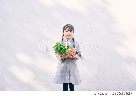 庭で野菜を持っている女の子 庭で野菜を持っている女の子 137537627