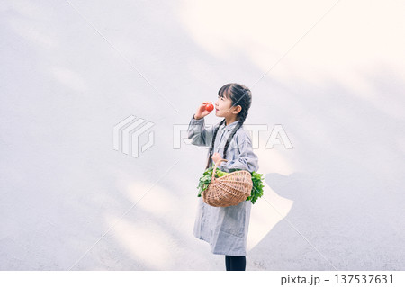 庭で野菜を持っている女の子 庭で野菜を持っている女の子 137537631