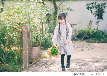 庭で野菜が入ったカゴを持っている女の子 庭で野菜が入ったカゴを持っている女の子 137537764