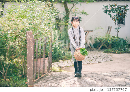 庭で野菜が入ったカゴを持っている女の子 137537767