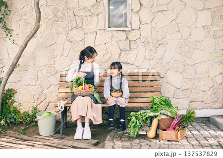 野菜を持ってベンチに座っている親子 野菜を持ってベンチに座っている親子 137537829