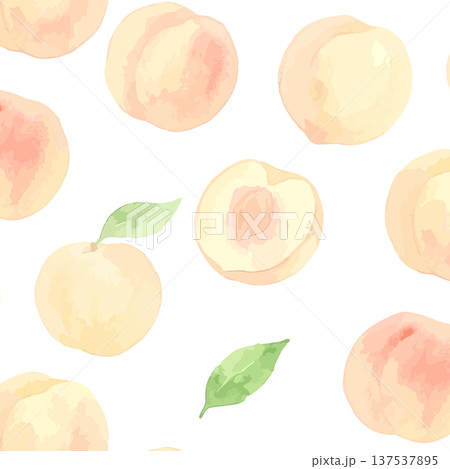 水彩風の白桃イラスト 137537895