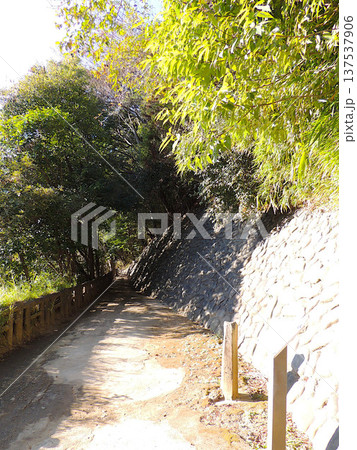 哲学堂公園　独断峡 137537906