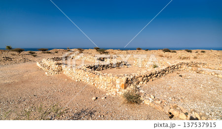 Stone foundations and historical architectural ruins of the ancient trade city of Qalhat in Oman overlooking the Arabian Sea. 137537915
